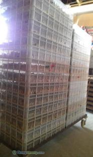 供應(yīng)河南鵪鶉苗批發(fā) 南昌林友鵪鶉養(yǎng)殖場供應(yīng)_農(nóng)副產(chǎn)品_世界工廠網(wǎng)中國產(chǎn)品信息庫