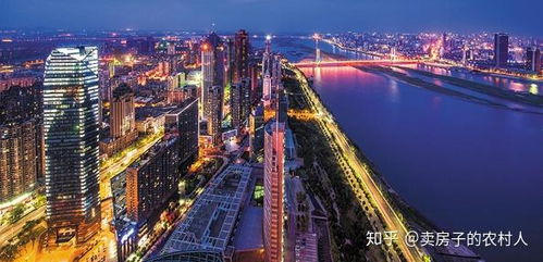 南昌紅谷灘區(qū)九龍湖板塊的詳細(xì)介紹