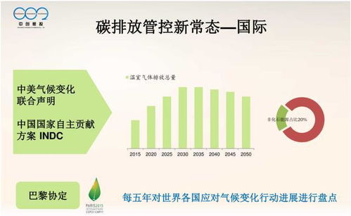 大型控排企業碳資產管理體系建設與優化策略